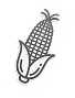 옥수수